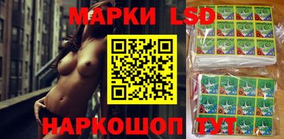 стафф Краснознаменск