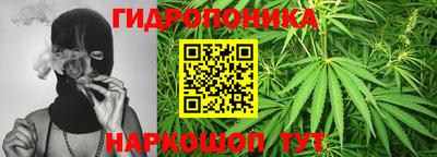 стафф Краснознаменск
