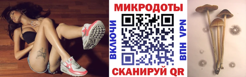 Галлюциногенные грибы Psilocybine cubensis  блэк спрут tor  Каспийск 